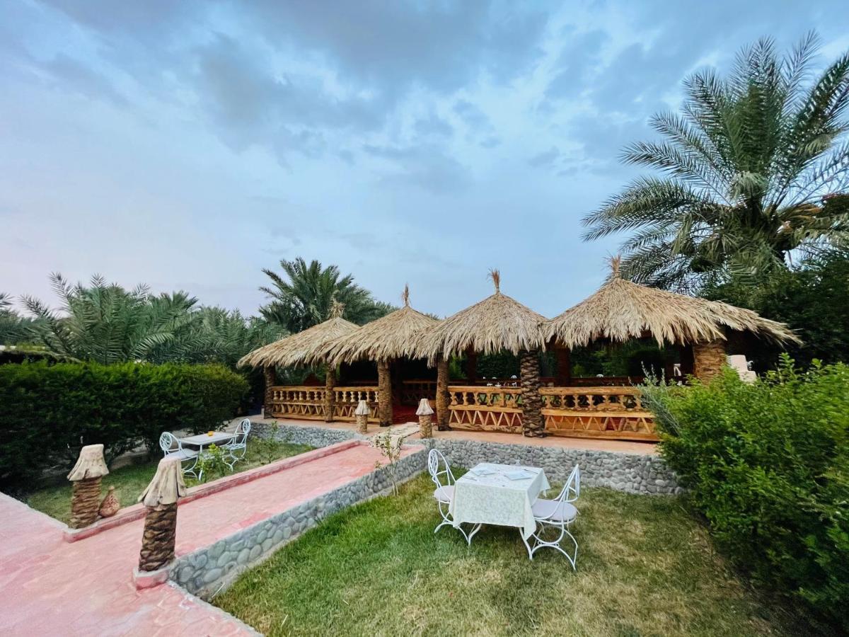 Paradis Touareg Zagora Buitenkant foto