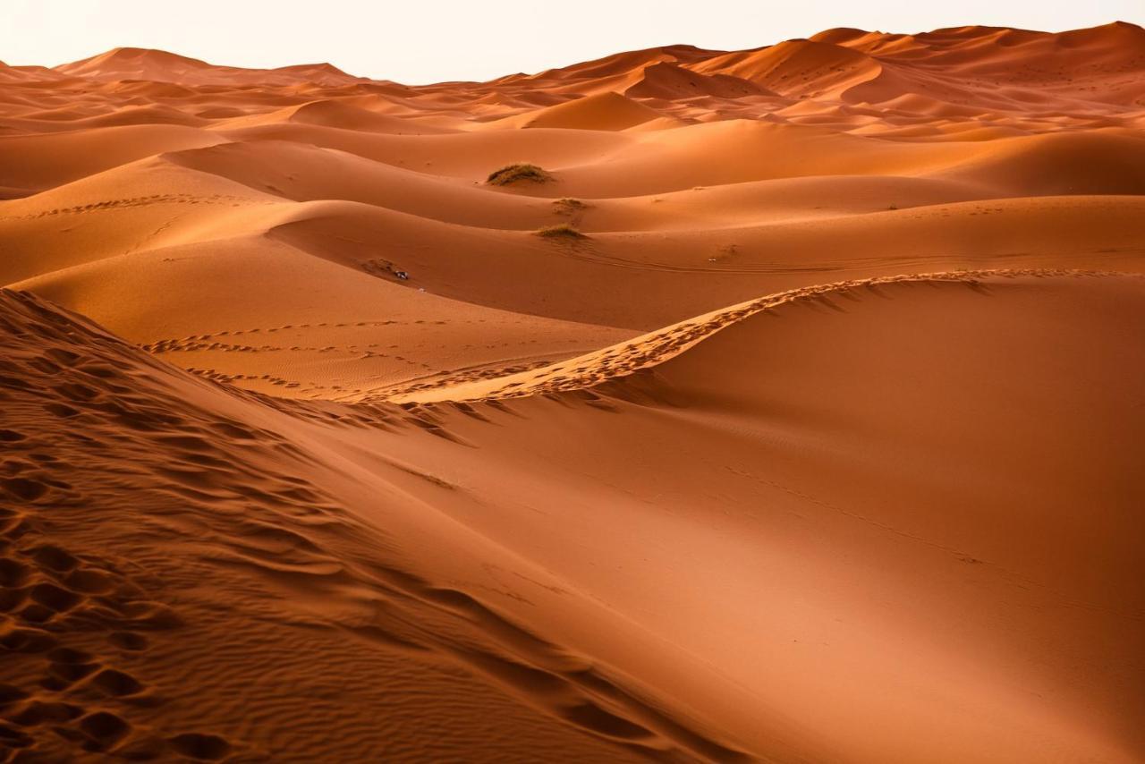Paradis Touareg Zagora Buitenkant foto
