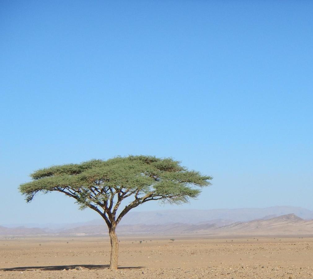 Paradis Touareg Zagora Buitenkant foto
